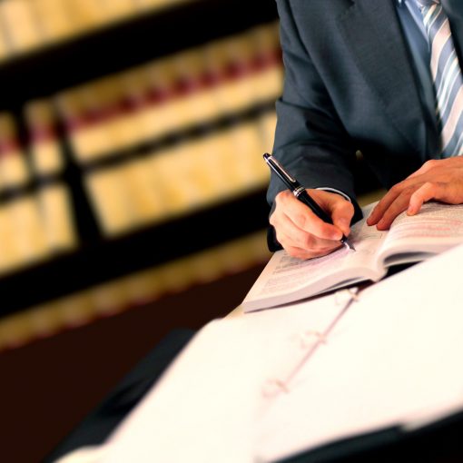 Litigation Consulting